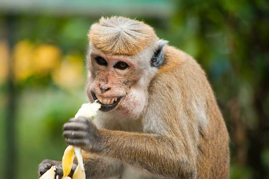 Ontdek de schoonheid van Moeder Natuur